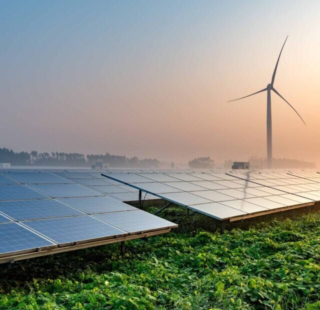 paineis solares instalado em cima de uma plantação e no fundo um gerador eólico.
