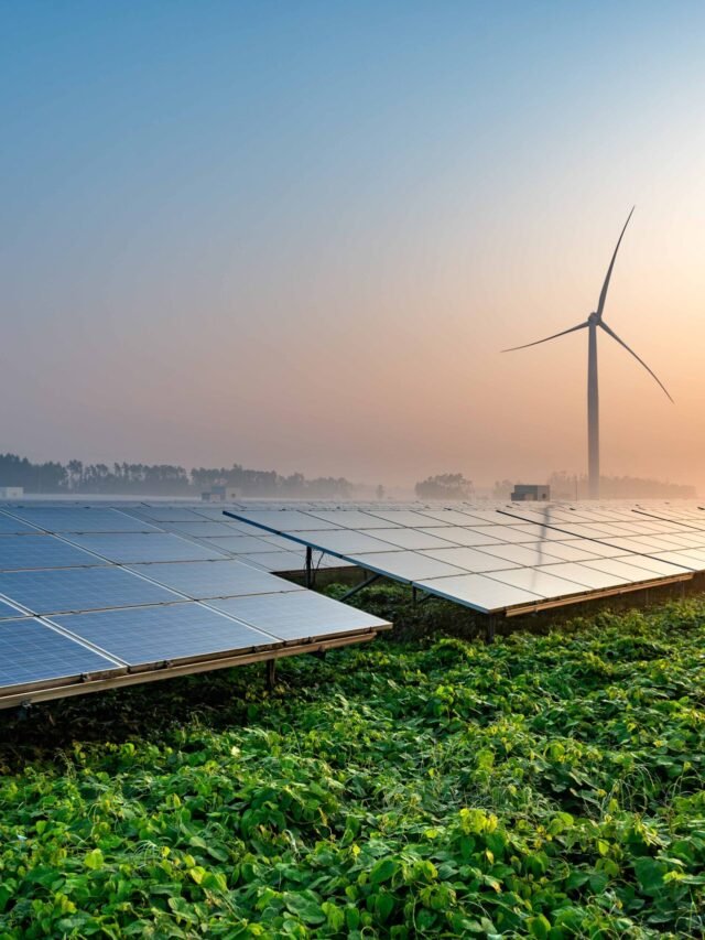 Seguro para Energia Solar – ESI Tokio Marine